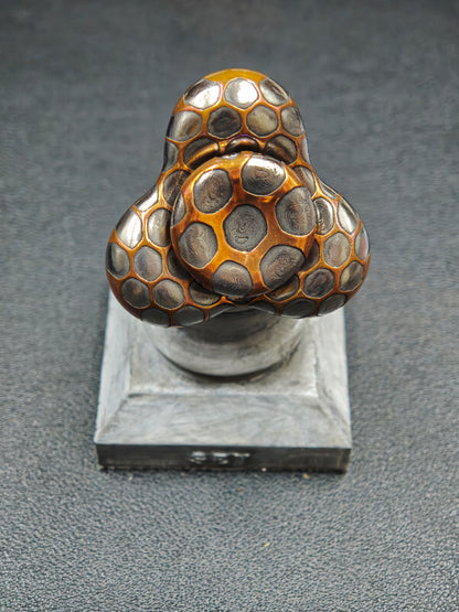 Mushroom Superconductor