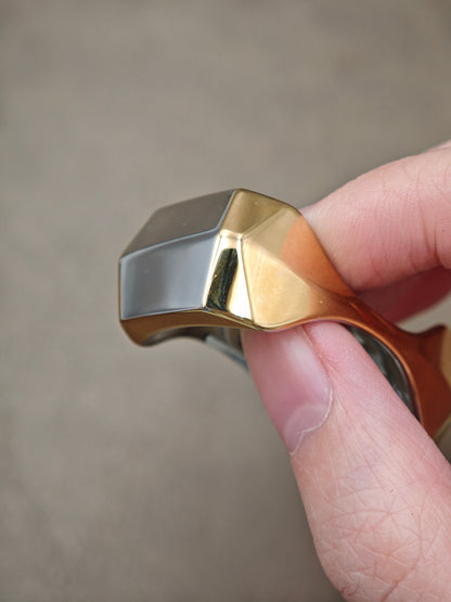 Mighty Tiger Stainless Steel Gold Plated