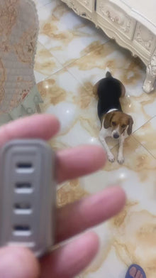 Jingle Slider Stainless Steel