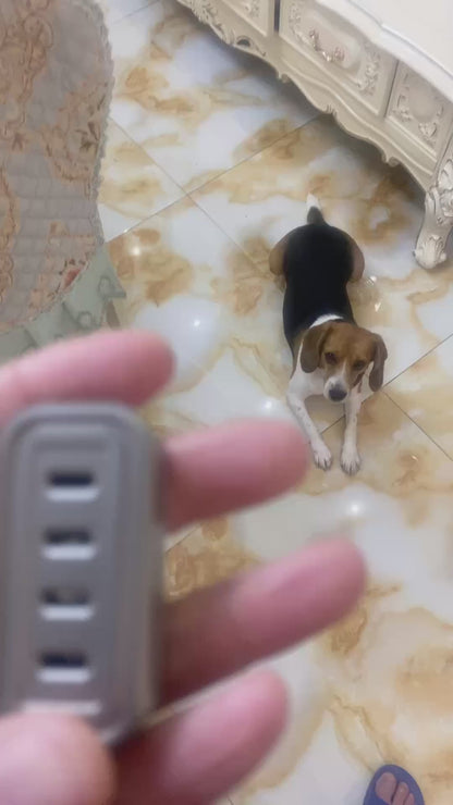 Jingle Slider Stainless Steel