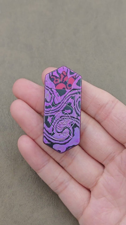 Plane Zircuti