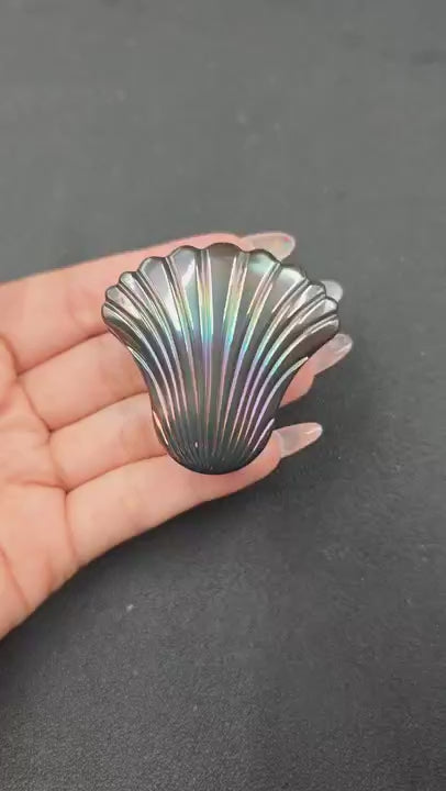 Balled Shell Zirconium