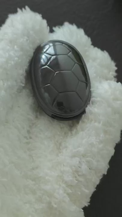 Jingle Beetle Zirconium Polished