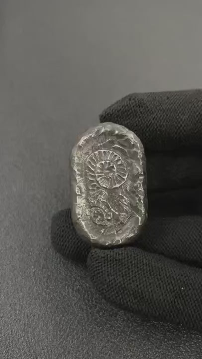 Nado Zirconium