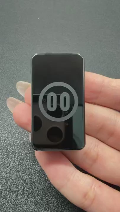 Ceramic Pig Polished