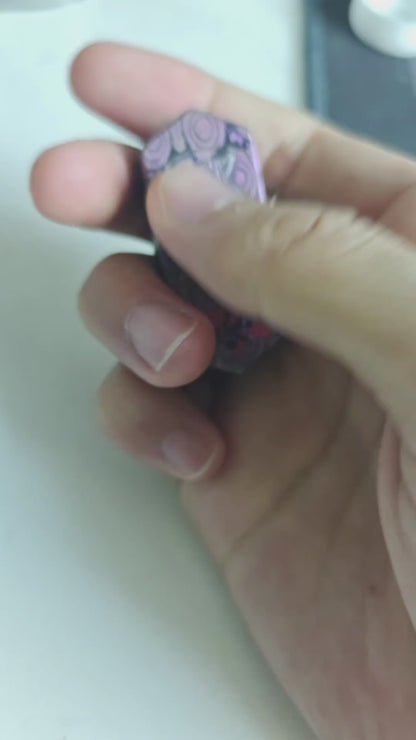Plane Zircuti