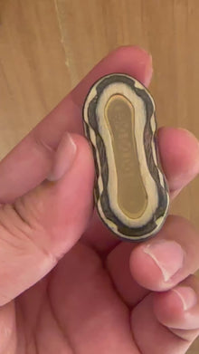 LEAP Collector’s Techwood