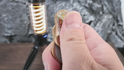 Fury Face Lion Sider