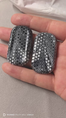 01EDC Slider No.12 Shell