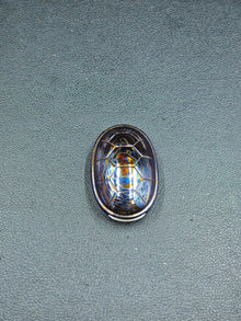 Jingle Beetle Zircuti