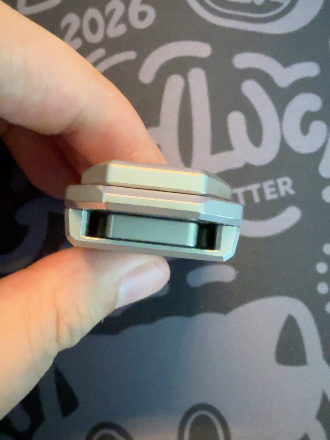 Beetle Wing Stainless Steel