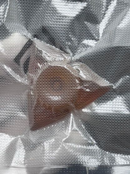 Prism Bearing Cap PEI Brand New