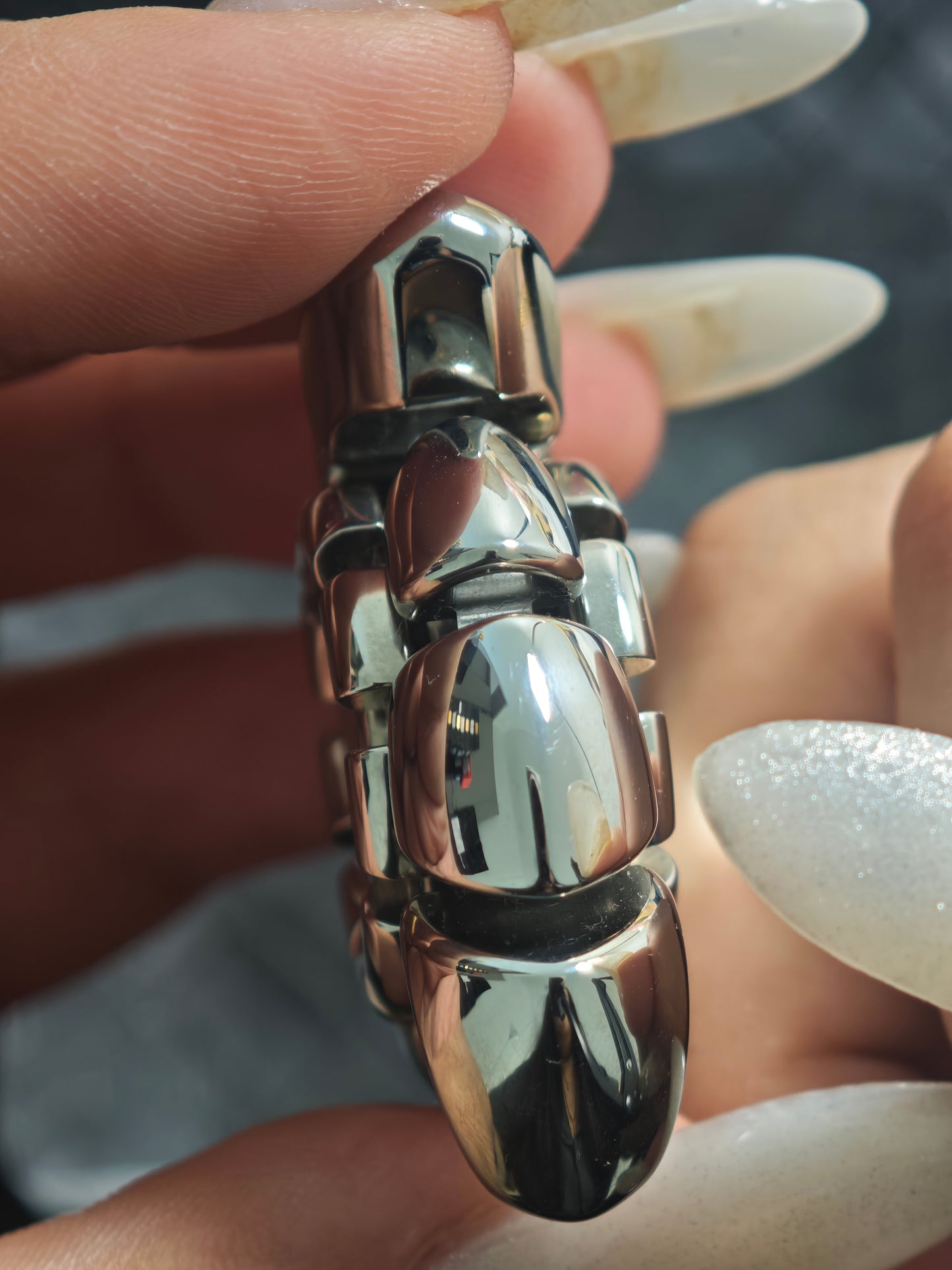 Nautilus Dragon Ridge Stainless Steel