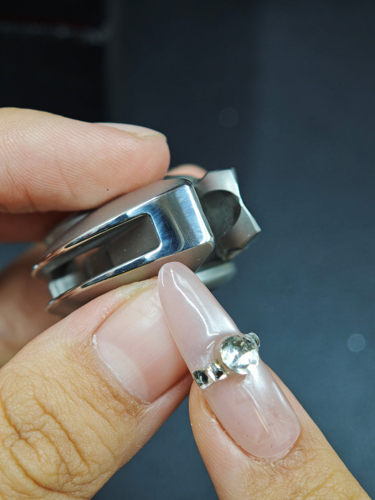 Sabertooth Stainless Steel