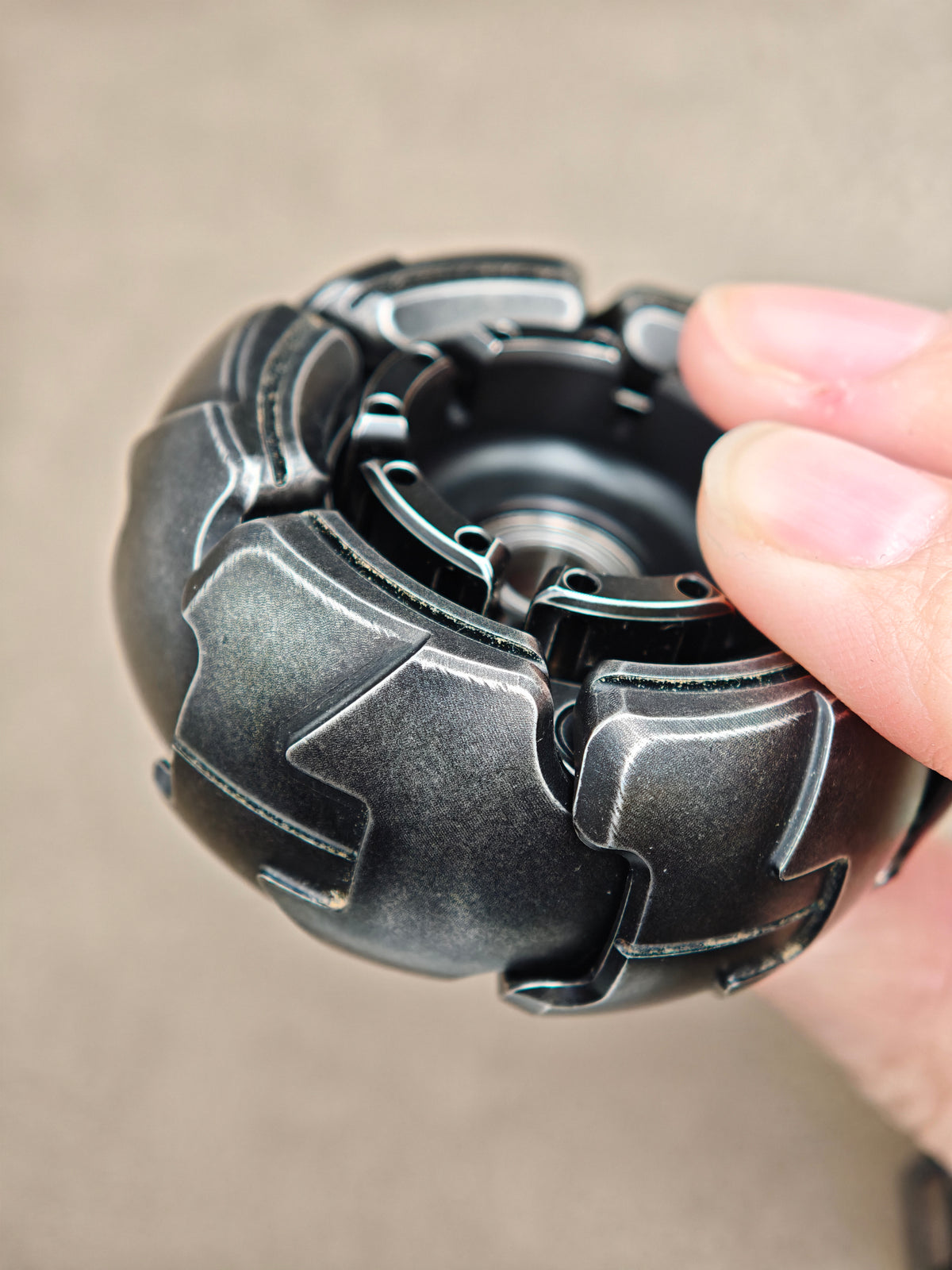 Pillbug Shell Opening Stainless Steel