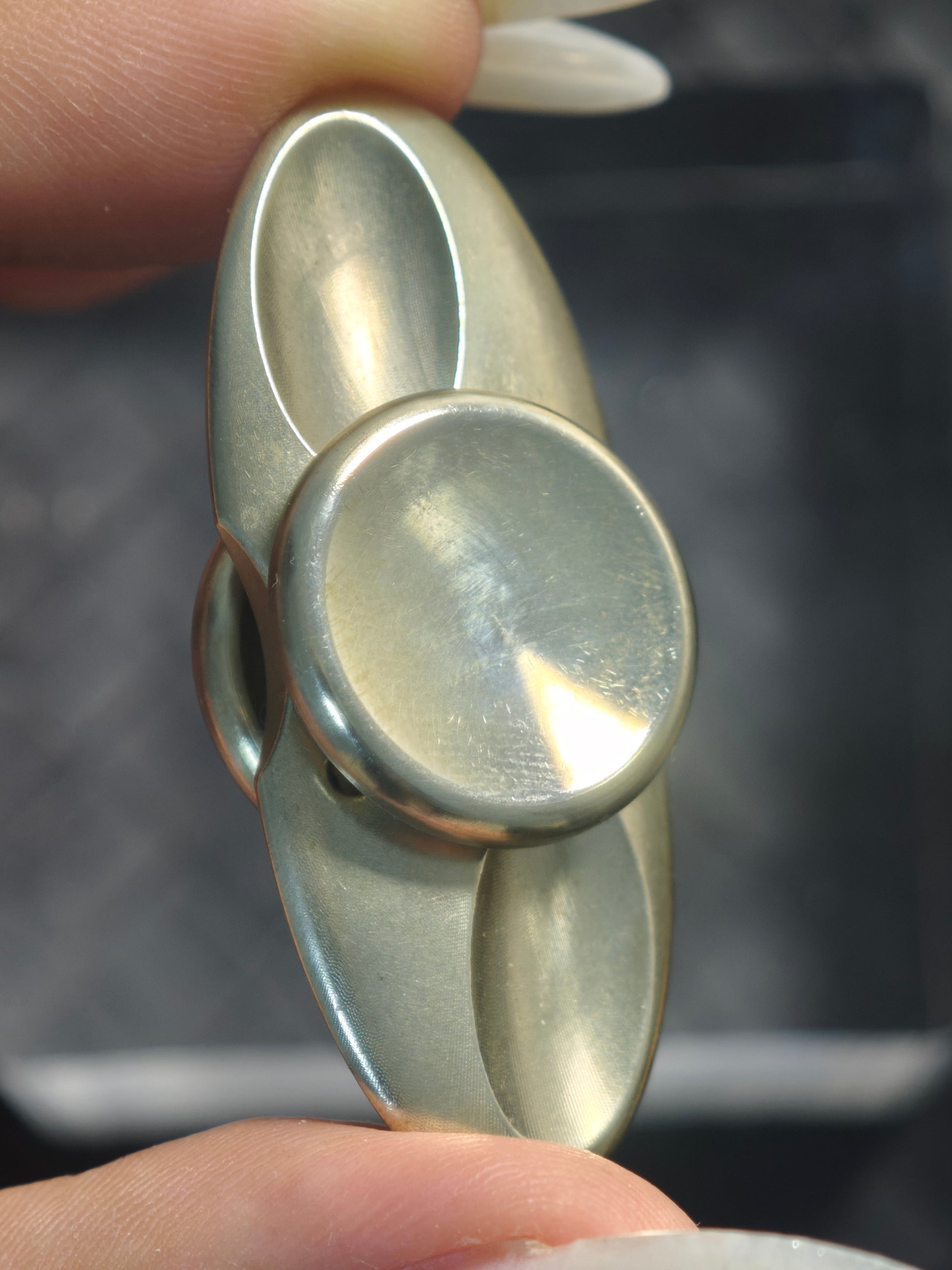 Dragonfly Stainless Steel