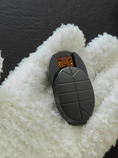 Jingle Beetle Zirconium Polished